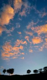 Low angle view of trees against cloudy sky