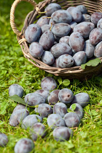 High angle view of fruits in basket