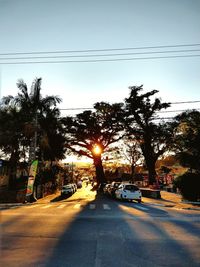 Street amidst trees against sky in city