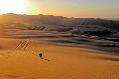 Scenic view of desert against sky during sunset