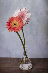 Close-up of flowers in vase