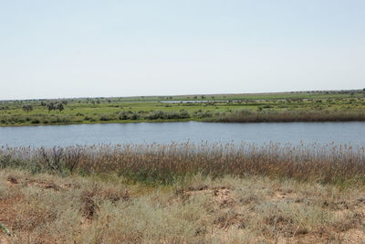 Scenic view of lake against clear sky