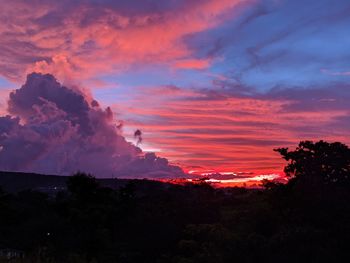 Low angle view of silhouette trees against dramatic sky