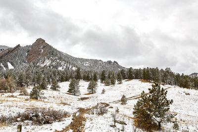 Spring snowstorm covers mountain range and flat irons of chautauqua park . boulder, colorado 