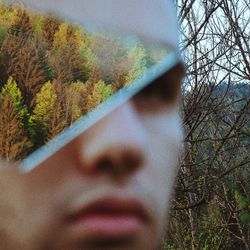 Close-up portrait of man on tree in forest