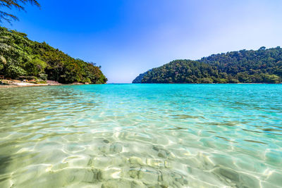 Scenic view of sea against clear blue sky