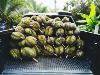 Close-up of fruit