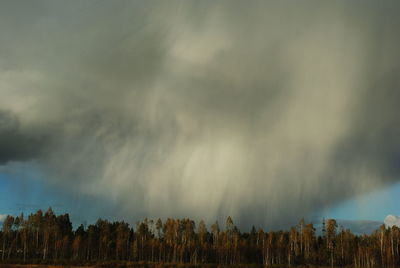 Panoramic view of trees against storm clouds