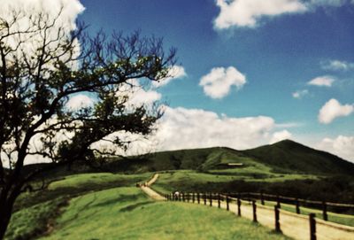 Scenic view of landscape against sky