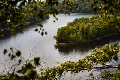 Reflection of trees in lake