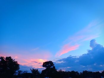 Low angle view of silhouette trees against blue sky