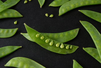 Full frame shot of green leaves