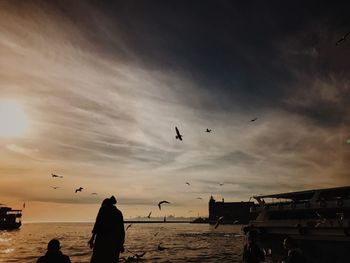 Silhouette birds flying over beach against sky during sunset