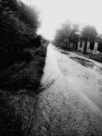 Road passing through trees