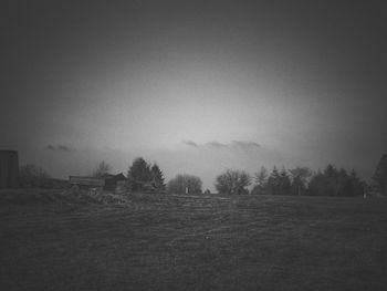 Trees on field