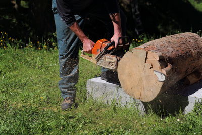 Low section of man cutting tree trunk