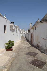 Potted plants on street amidst buildings against sky