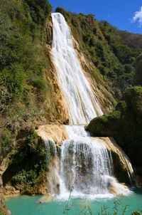View of waterfall in forest