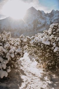 Scenic view of snow covered land and mountains