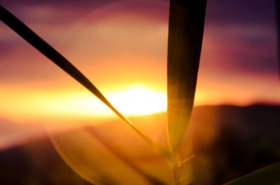 Close-up of sun during sunset