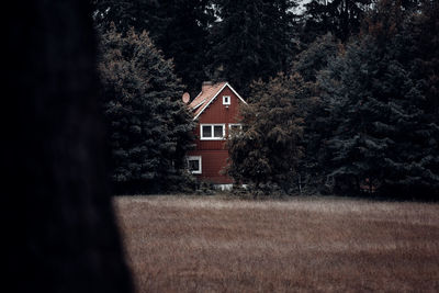 House on field by trees in forest