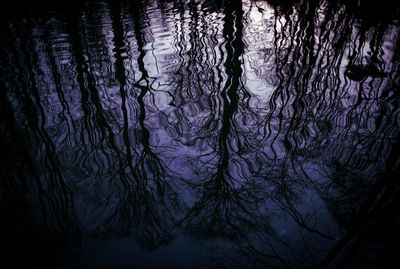 High angle view of silhouette trees by lake