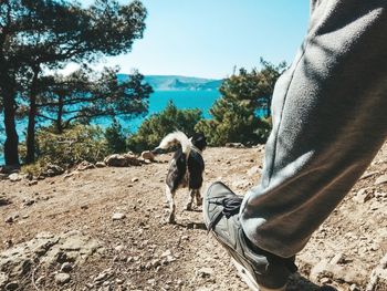 Rear view of person with dog on land