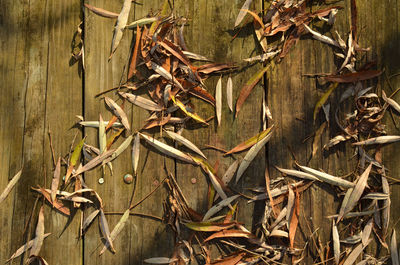 High angle view of fallen leaves on wooden table during sunny day