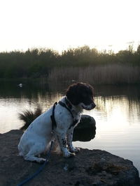 View of lake at sunset