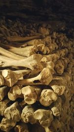 Close-up of stone wall