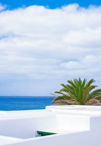 Tropical palm tree and blue sea and sky background. canary island. travel, summer vacation concept