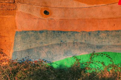 High angle view of plants by painted wall