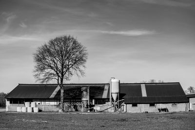 Bare tree on field by house against sky