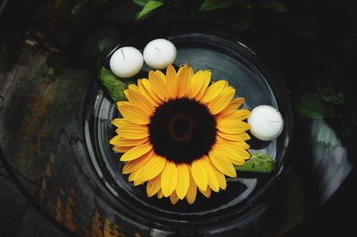 Close-up of yellow flower with candles on table