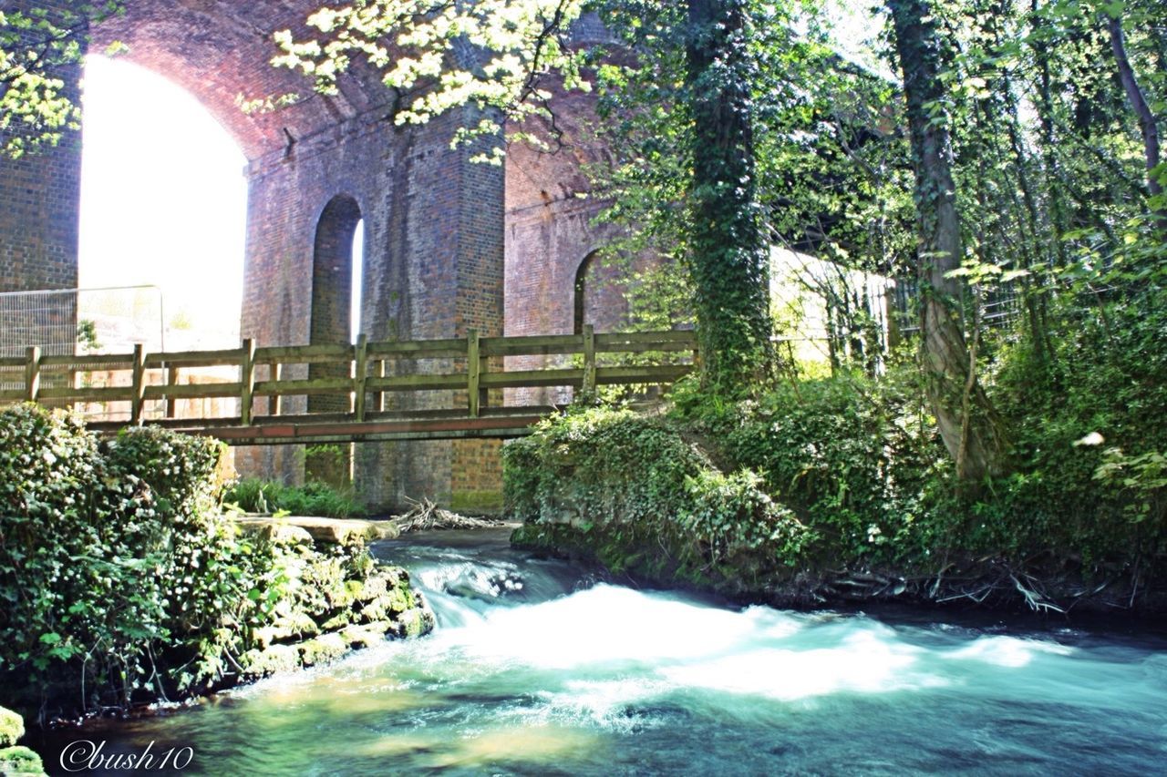 water, tree, flowing water, waterfall, flowing, waterfront, stream, forest, nature, built structure, motion, river, beauty in nature, growth, green color, scenics, architecture, plant, bridge - man made structure, tranquility