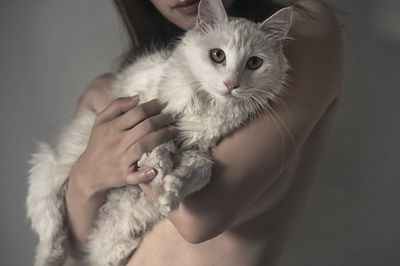 Midsection of shirtless woman holding cat by wall