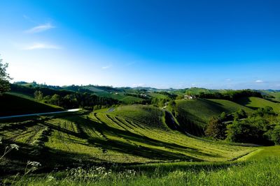 Scenic view of agricultural field against sky