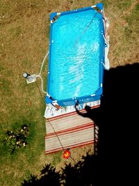 High angle view of grass