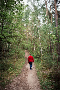 Rear view of man walking on footpath in forest