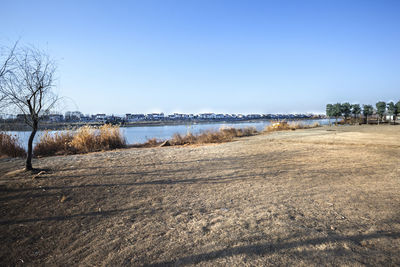 Scenic view of calm sea against clear sky