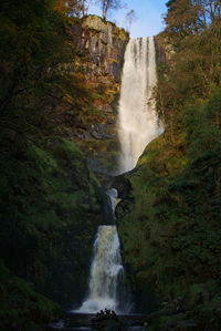 Scenic view of waterfall in forest