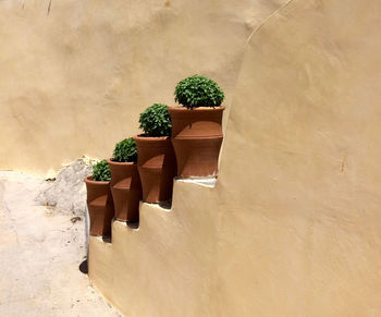 Four terracotta vases on stairs of a old house in the south of greece