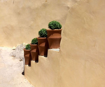 High angle view of potted plant on table