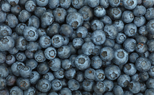 Full frame shot of blueberry fruits