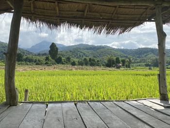 Scenic view of agricultural field against sky