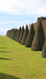 Stone wall on field against sky