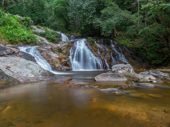 Scenic view of waterfall in forest