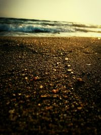 Close-up of pebbles on beach against sky during sunset