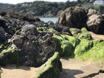 Rocks on beach