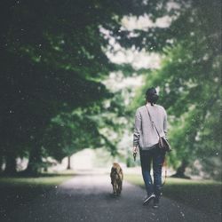 Full length rear view of woman walking with dog on street